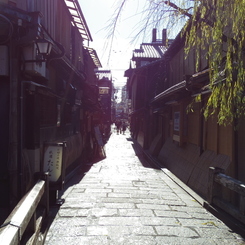IMGP0445