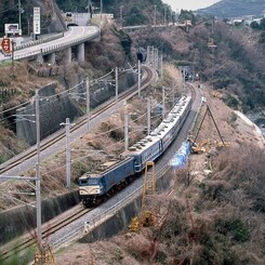 紀州のゴハチ