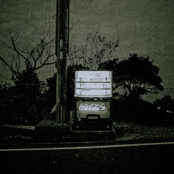 待ってても誰も来ないよ。