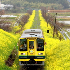 線路のある風景Ⅳ～雨の日～