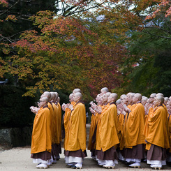 紅葉　高野山