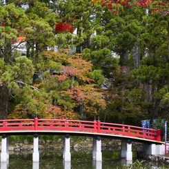 高野山の紅葉#2