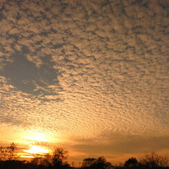 Scale cloud