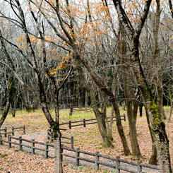北山公園・初冬③
