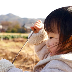 お散歩は 小さな冒険がいっぱい