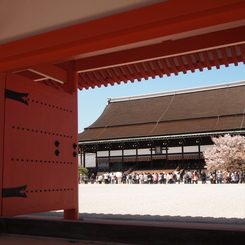 紫宸殿と左近の桜