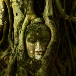 Ayutthaya