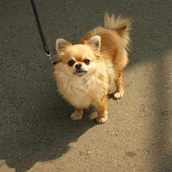 DSC00902