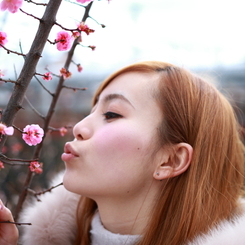 ｃнμ♪(‘ε’*)