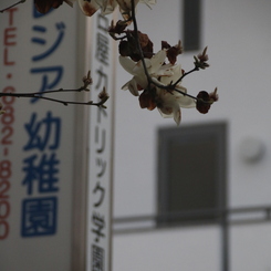くちる　その21