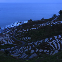 白米の千枚田