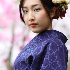 sakura