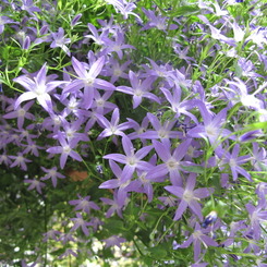 掛川花鳥園
