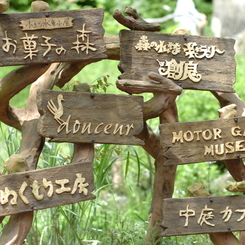 ぬくもりの森１