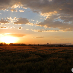 みどりの日の夕暮れ