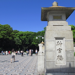 新緑の明治神宮1