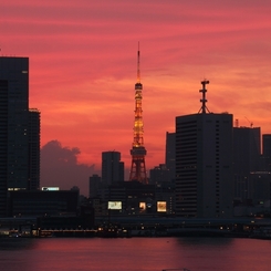 晴海から