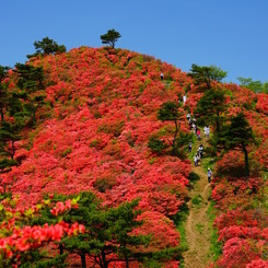 燃える山02