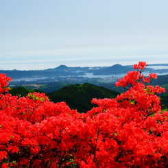燃える山03