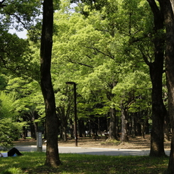 日々平穏