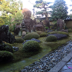 20160105_一休寺の枯山水