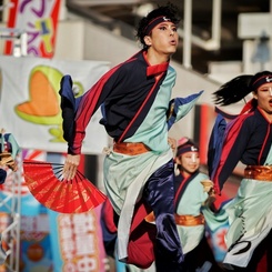 堺よさこいかえる祭り①よさこい連「わ」さん