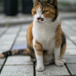 ん・・・。