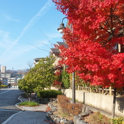 京都１