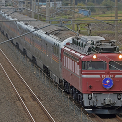 EF81-81