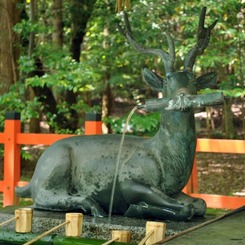 京都洛西散策04