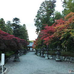 能仁寺・紅葉