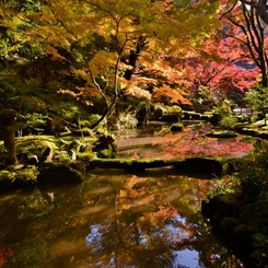 秋ブラ散歩金剛輪寺　11