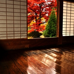 床紅葉