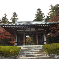 紅葉の能仁寺20