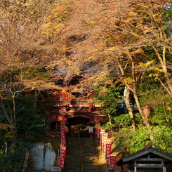 水沢観音仁王門