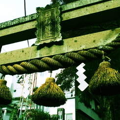 修善寺１