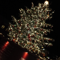 クリスマスツリー3
