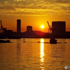 お台場海浜公園7