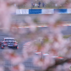 桜サーキット（4月）