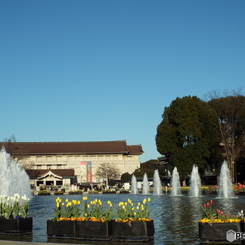 上野公園・噴水広場21