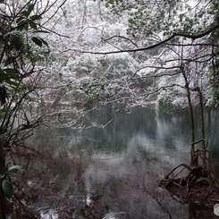 厳寒の丸池様-1