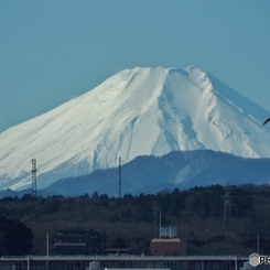 富士山2