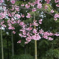 DSC04901