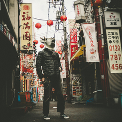 朝撮