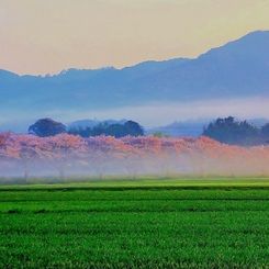 幻想的風景