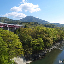 初夏の猿橋と桂川1