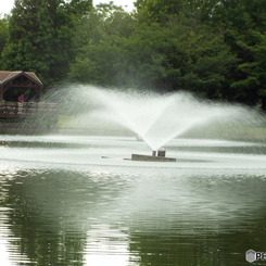 深緑の彩の森入間公園7