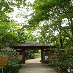 日本庭園1