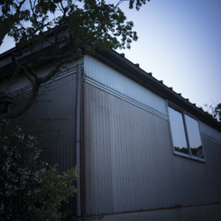 おもたい朝の散歩１