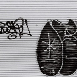  shutter